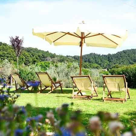 Anemi Deluxe * Kolios