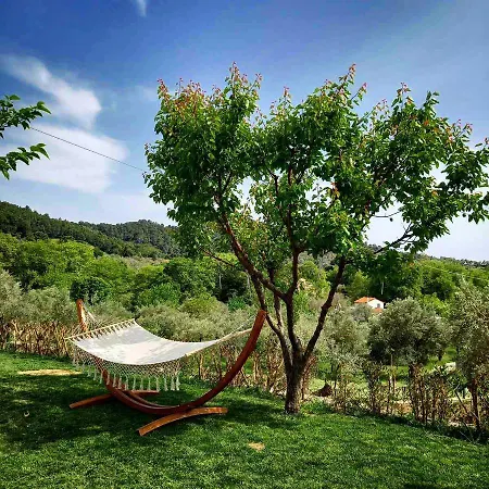 Anemi Deluxe Appartement *